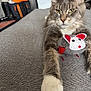 cat, gray_cat, white_paw, plush_toy, mouse_toy, indoor, furniture, sofa, pet, whiskers, fur, green_eyes, close_up, relaxed, animal, home, cozy, mammal, cute, tabby