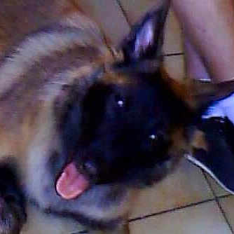 Leeloo