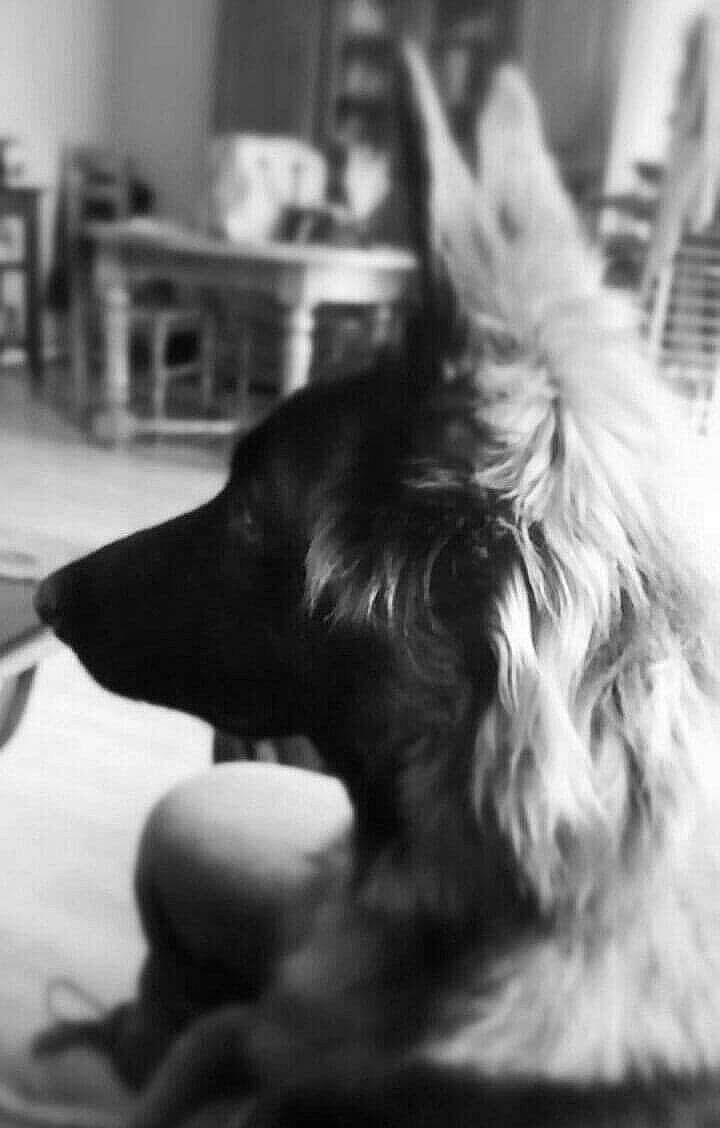 Leeloo