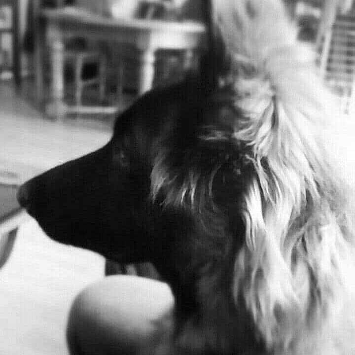 Leeloo