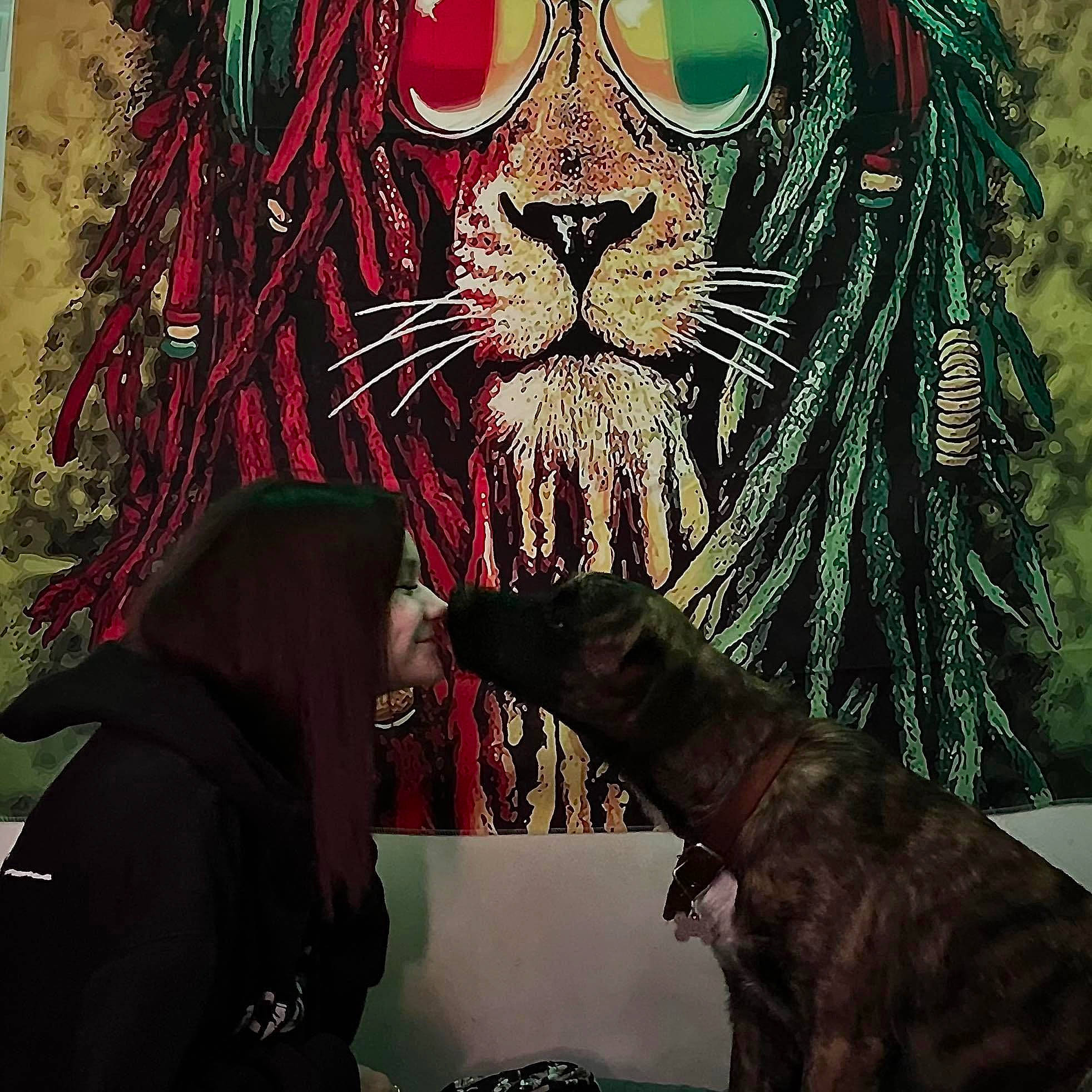 Ashka a rejoint le concours — aidez-le/la à gagner de superbes lots ! art, artist, cg_artwork, event, fiction, fictional_character, flesh, fur, gesture, graphic_design, graphics, illustration, magenta, organism, painting, pattern, sleeve, textile, visual_arts, whiskers