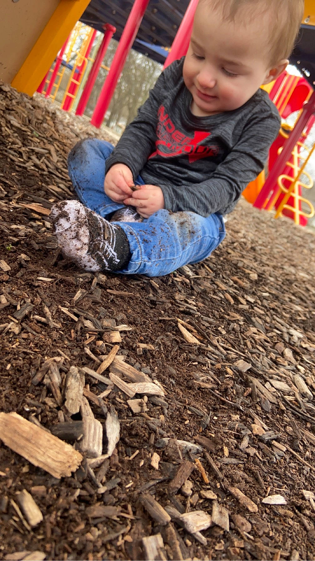 Kolt is registered to the contest to win money with this photo: autumn, baby, child, city, deciduous, flooring, forest, fun, grass, leisure, people_in_nature, person, plantation, play, sitting, soil, toddler, tree, trunk, wood