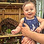 baby, child, smiling, person, hand, arm, miniature, fairy_house, wooden_shelf, decoration, moss, flower, indoor, window, pacifier, clothing, blue_outfit, happy, cute, skin
