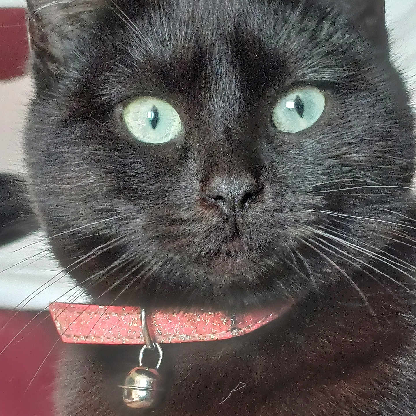 Sierra