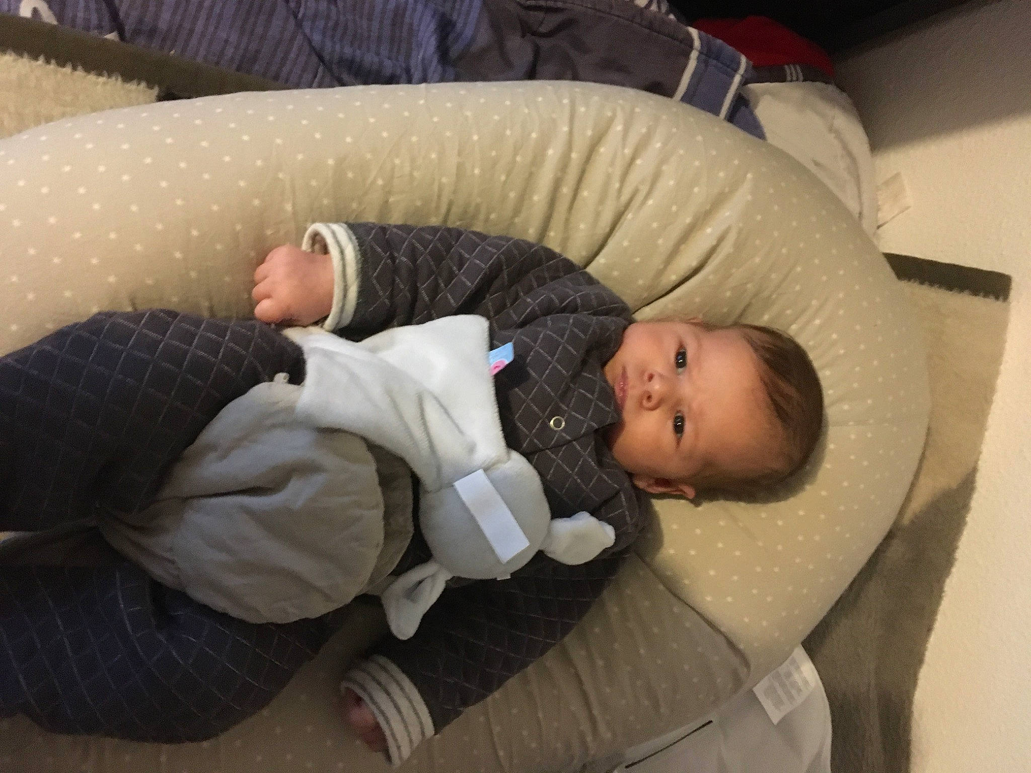 Enzo participe au concours pour gagner de l'argent avec cette photo : baby, baby_toddler_clothing, cheek, child, comfort, couch, finger, flooring, linens, nap, person, room, sitting, sleep, toddler, tree, wood