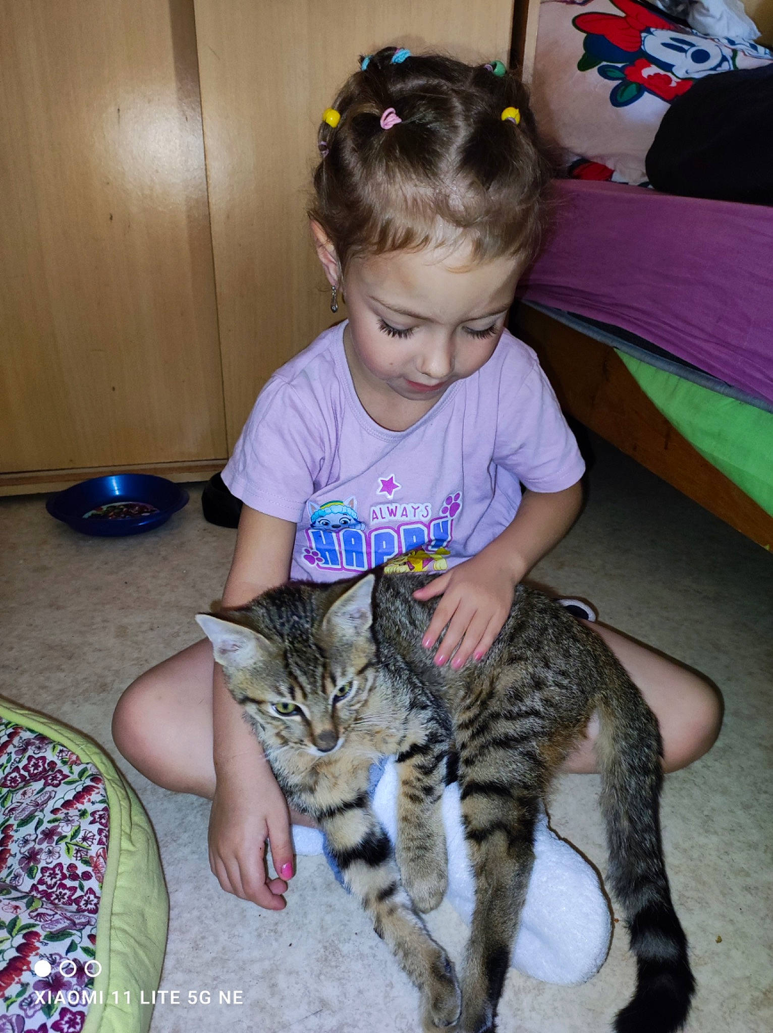 Athéna participe au concours pour gagner de l'argent avec cette photo : carnivore, cat, child, comfort, domestic_short_haired_cat, ear, felidae, flooring, fun, fur, lap, mammal, paw, person, play, sharing, sitting, small_to_medium_sized_cats, tail, toddler