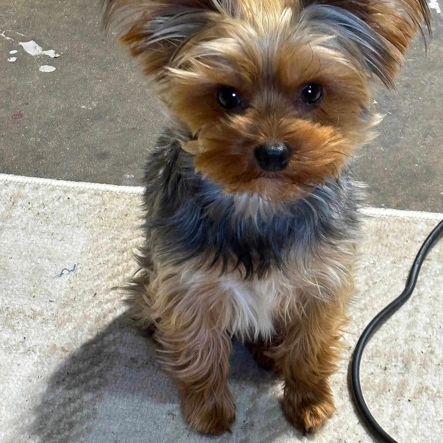 Lucy