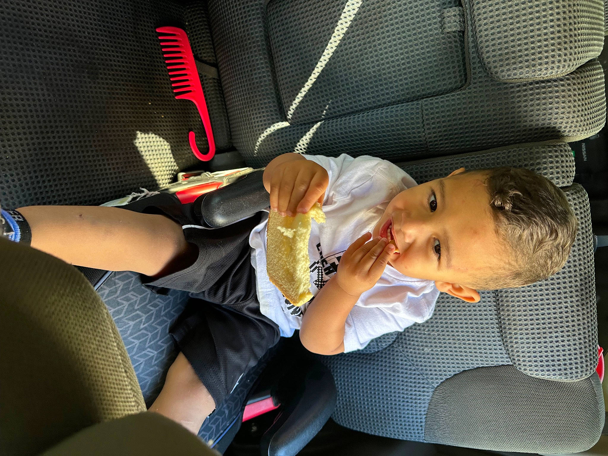Rogelio is registered to the contest to win money with this photo: auto_part, baby, baby_carriage, baby_in_car_seat, car_seat, child, comfort, elbow, family_car, finger, fun, human_leg, knee, lap, person, seat_belt, sitting, steering_wheel, thigh, toddler