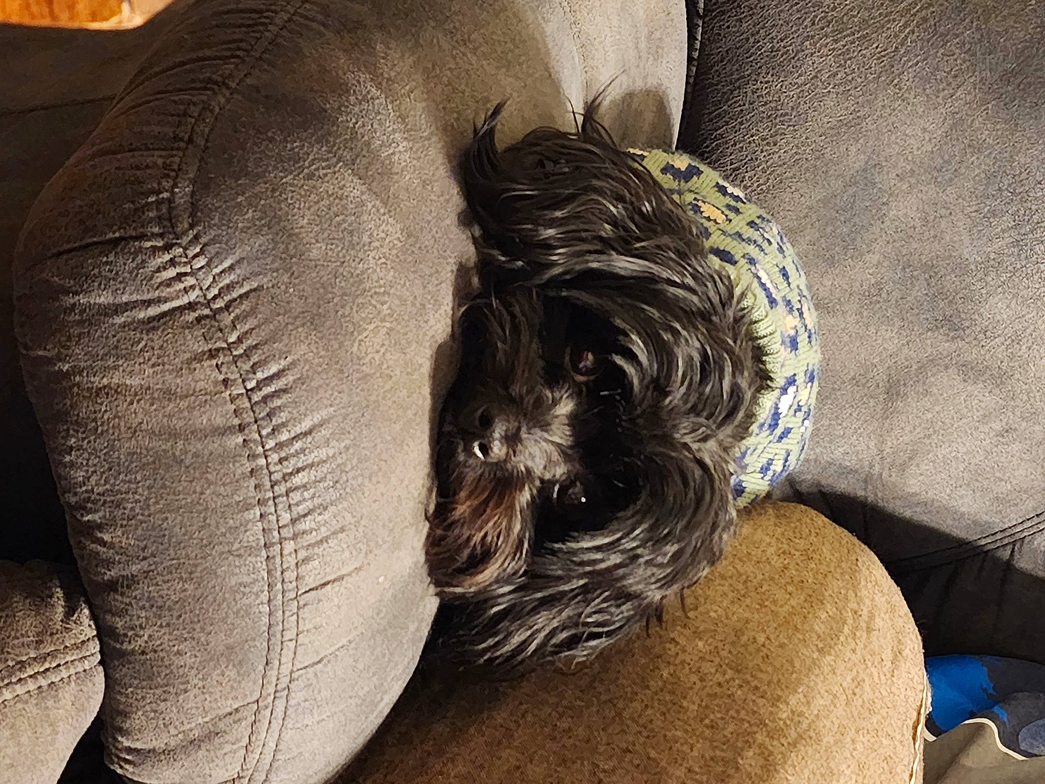 Dixie Lu Smith joined the competition — help win amazing prizes! abdomen, art, chest, comfort, eyewear, facial_hair, gesture, head, human_leg, knee, long_hair, tattoo, textile, thigh, tints_and_shades, tree, trunk, visual_arts, waist, wrinkle