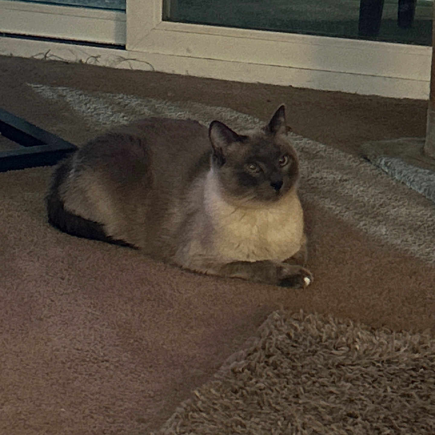 Kiki