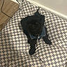 Levi Mobley is registered to the contest to win money with this photo: dog, black_dog, denim_jacket, pet, cushion, checkered_pattern, indoor, floor, wall, cable, curious, sitting, looking_up, small_dog, fur, home, cozy, animal, companion, cute