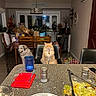 cat, dog, dining_table, chair, cage, salad, plate, glass, salt_shaker, kitchen, indoor, furniture, food, vegetables, fruit, bottle, window, curtain, decor, person_reflection