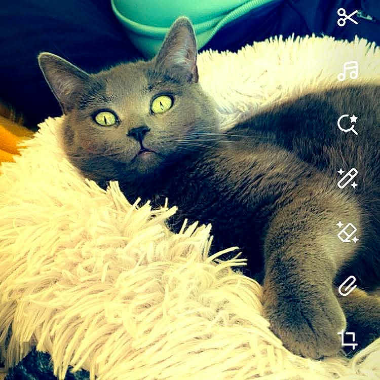 Molly