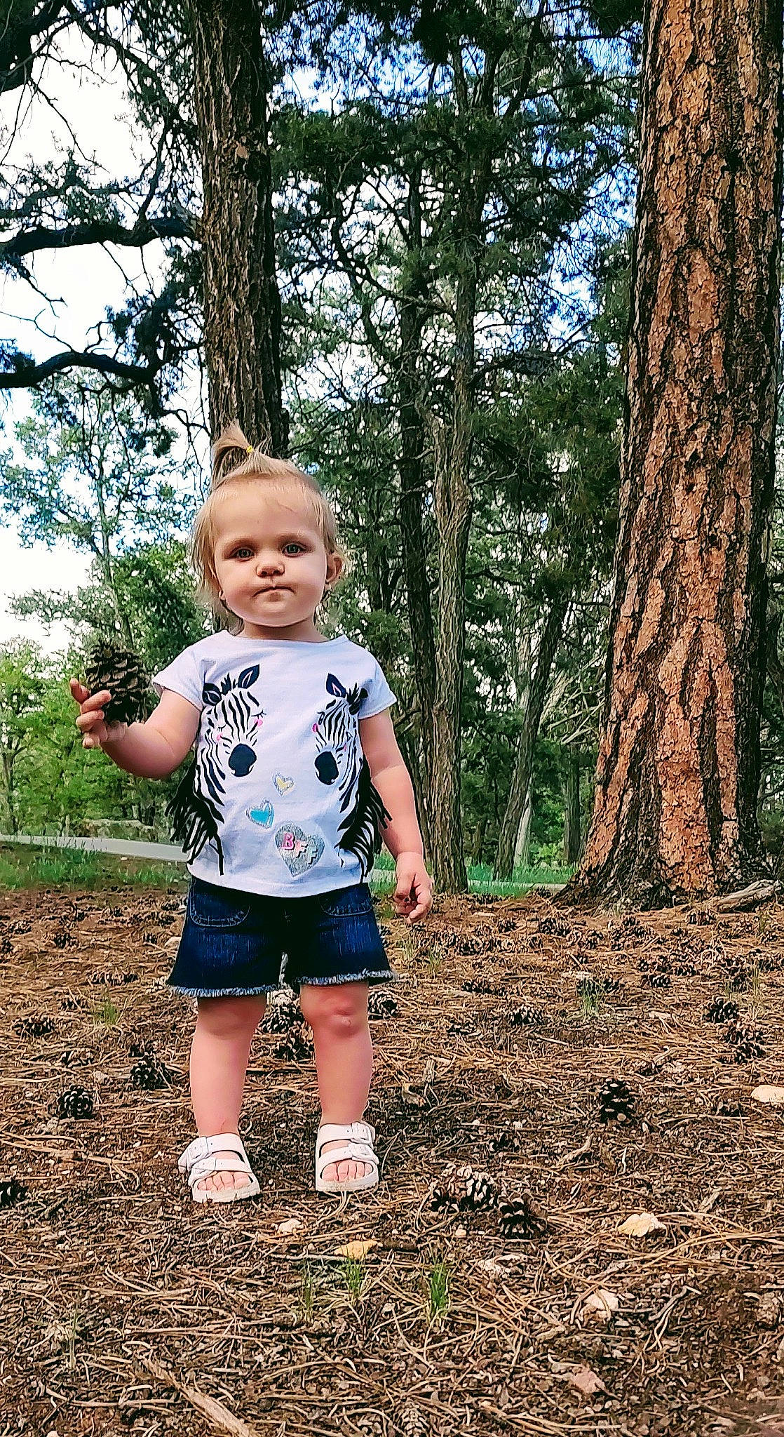 Lily joined the competition — help win amazing prizes! baby, baby_toddler_clothing, child, electric_blue, forest, fun, grass, happy, leaf, leisure, pattern, people_in_nature, person, plant, recreation, shorts, sky, t_shirt, toddler, tree