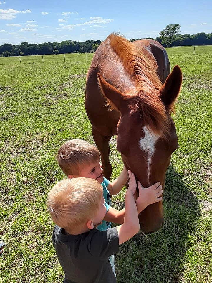 Tinker Bell joined the competition — help win amazing prizes! fawn, gesture, grass, grass_family, grassland, happy, horse, landscape, liver, meadow, natural_environment, pack_animal, people_in_nature, plant, sky, sorrel, terrestrial_animal, toddler, tree, working_animal