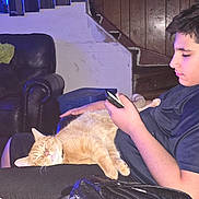 Zomba is registered to the contest to win money with this photo: cat, person, indoor, phone, lap, sleeping_cat, ginger_cat, black_bag, leather_chair, staircase, wood_paneling, casual, relaxed, seated, home, resting, young_person, short_sleeve_shirt, focused, dim_lighting