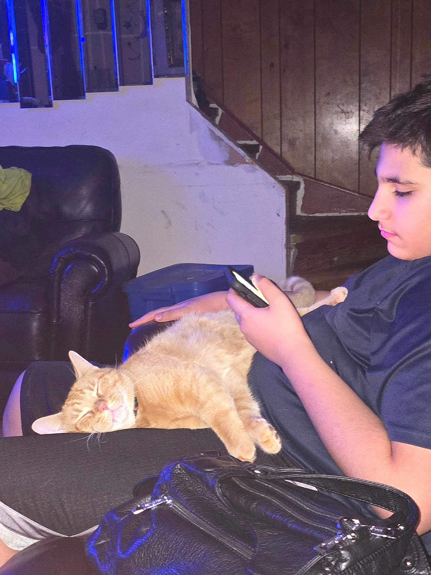 Zomba is registered to the contest to win money with this photo: cat, person, indoor, phone, lap, sleeping_cat, ginger_cat, black_bag, leather_chair, staircase, wood_paneling, casual, relaxed, seated, home, resting, young_person, short_sleeve_shirt, focused, dim_lighting