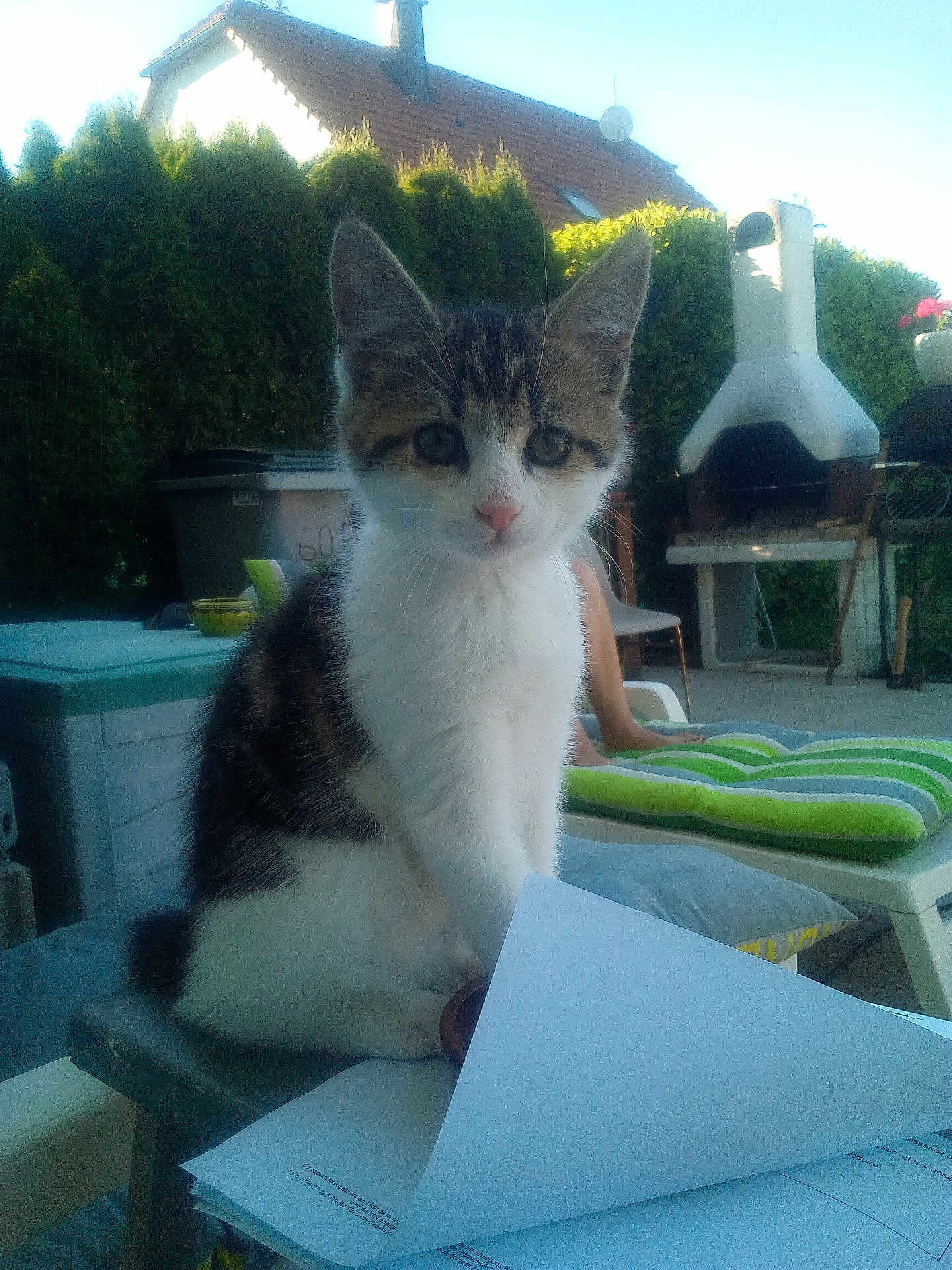 Paco