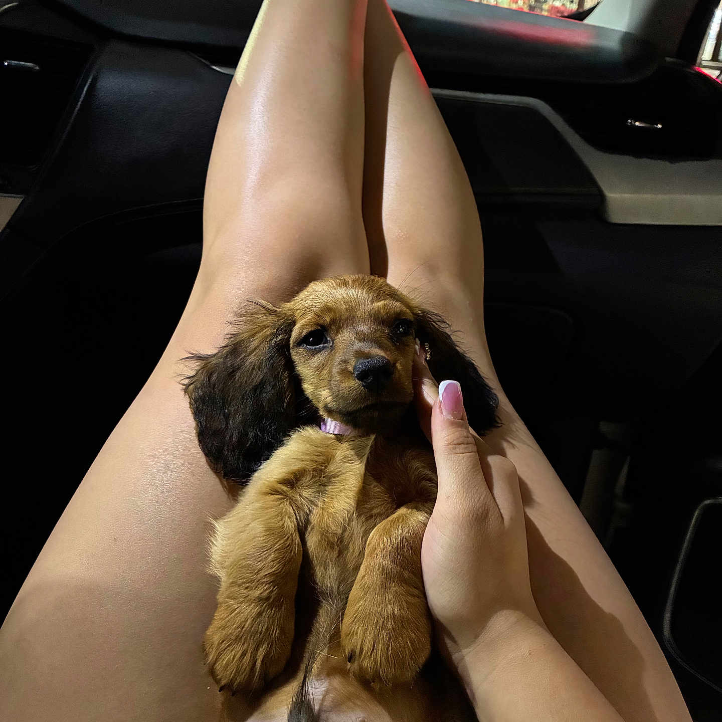 Winston