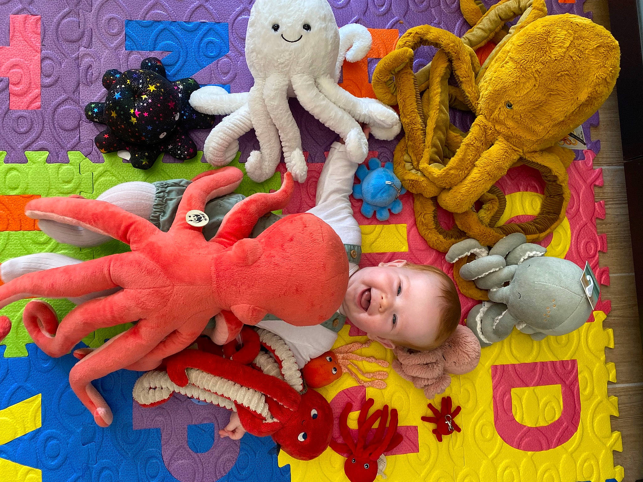 Calixte a rejoint le concours — aidez-le/la à gagner de superbes lots ! art, baby_toys, carmine, cephalopod, collectable, collection, event, fictional_character, fun, marine_invertebrates, octopus, organism, pattern, person, plastic, plush, stuffed_toy, textile, toy, vertebrate