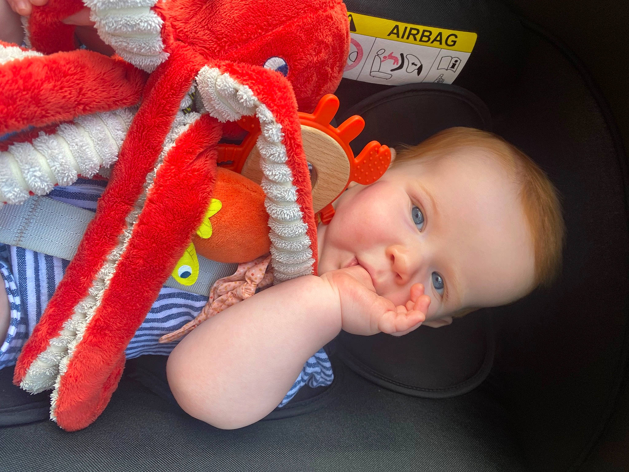 Calixte participe au concours pour gagner de l'argent avec cette photo : baby, baby_products, baby_toddler_clothing, carmine, cheek, child, fashion_accessory, flash_photography, fun, happy, headgear, mouth, pattern, person, skin, smile, stuffed_toy, toddler, toy, wool