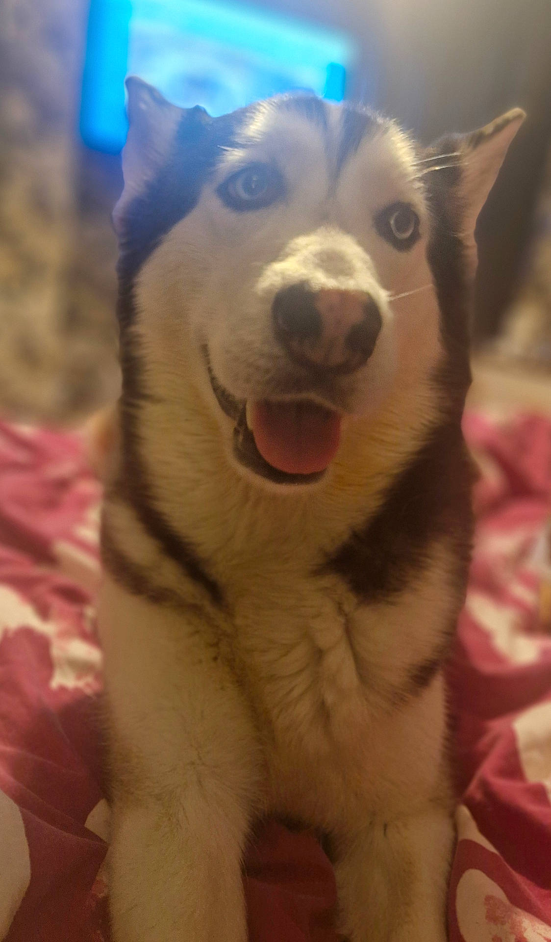 Luna