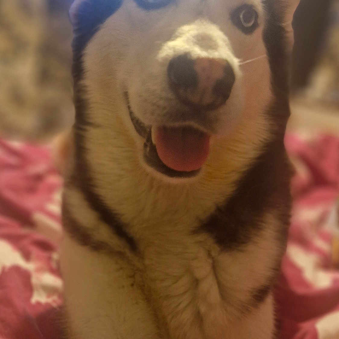 Luna