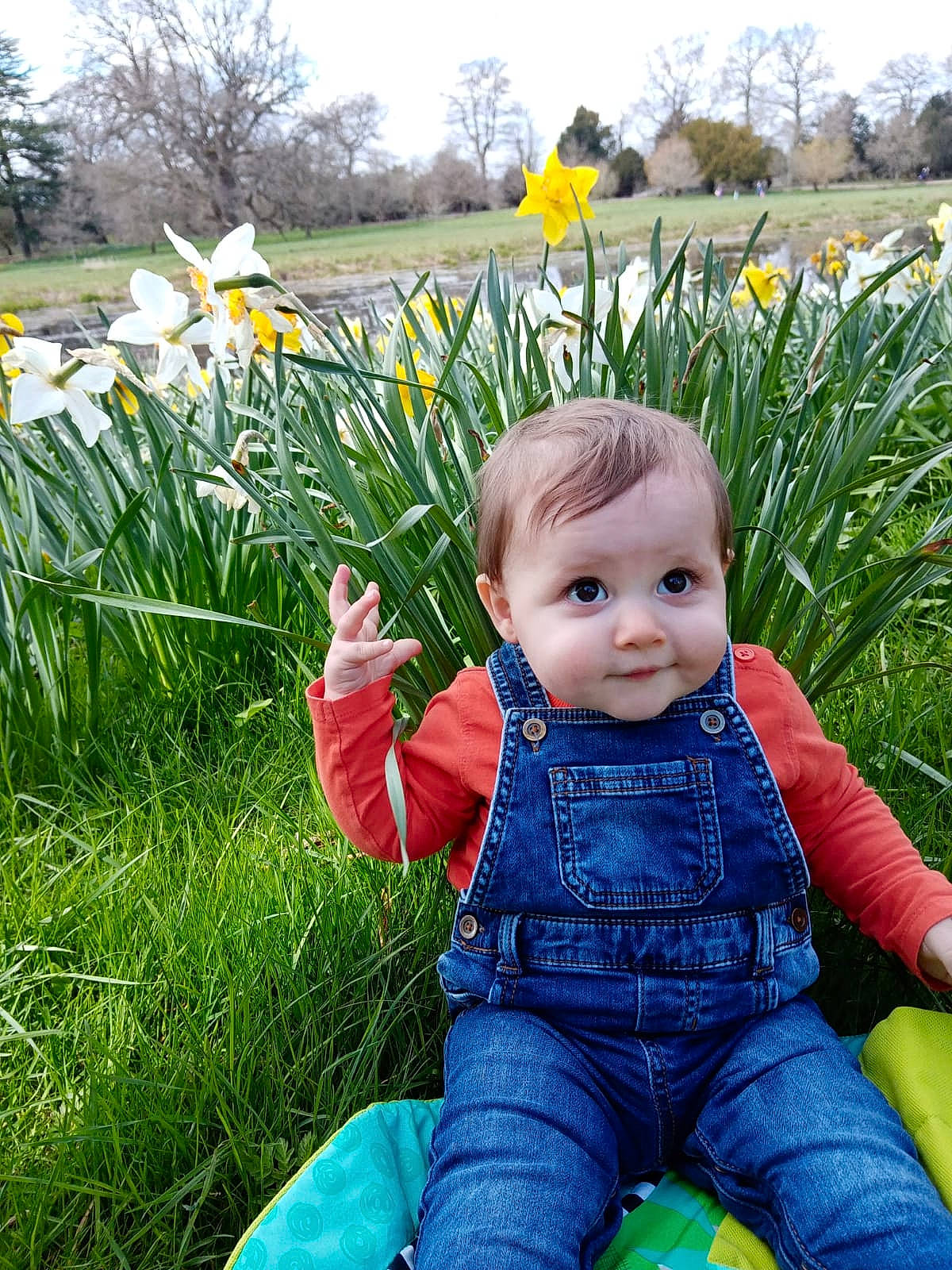 Arthur is registered to the contest to win money with this photo: baby, baby_toddler_clothing, botany, electric_blue, eye, flower, grass, grass_family, green, happy, jeans, lawn, leisure, people_in_nature, person, photograph, plant, sky, toddler, tree