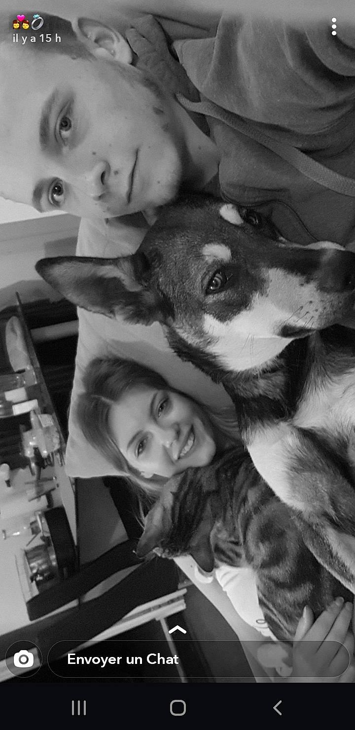 Isis participe au concours pour gagner de l'argent avec cette photo : black_and_white, canidae, carnivore, dog_breed, ear, photography, selfie, snapshot, style