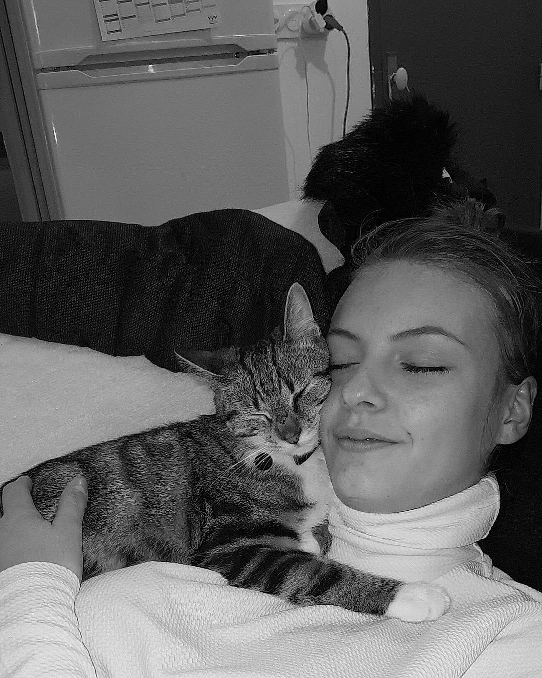 Oreo a rejoint le concours — aidez-le/la à gagner de superbes lots ! black, black_and_white, black_hair, carnivore, cat, ear, eye, felidae, fur, interaction, monochrome, monochrome_photography, nose, photography, sleep, small_to_medium_sized_cats, smile, style, whiskers, white