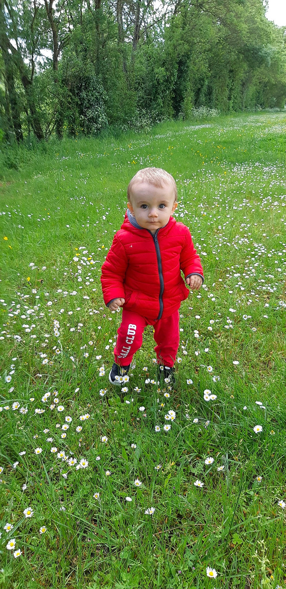 Matteo participe au concours pour gagner de l'argent avec cette photo : child, flower, grass, grass_family, grassland, lawn, meadow, people_in_nature, person, plant, play, spring, toddler, walking, wildflower