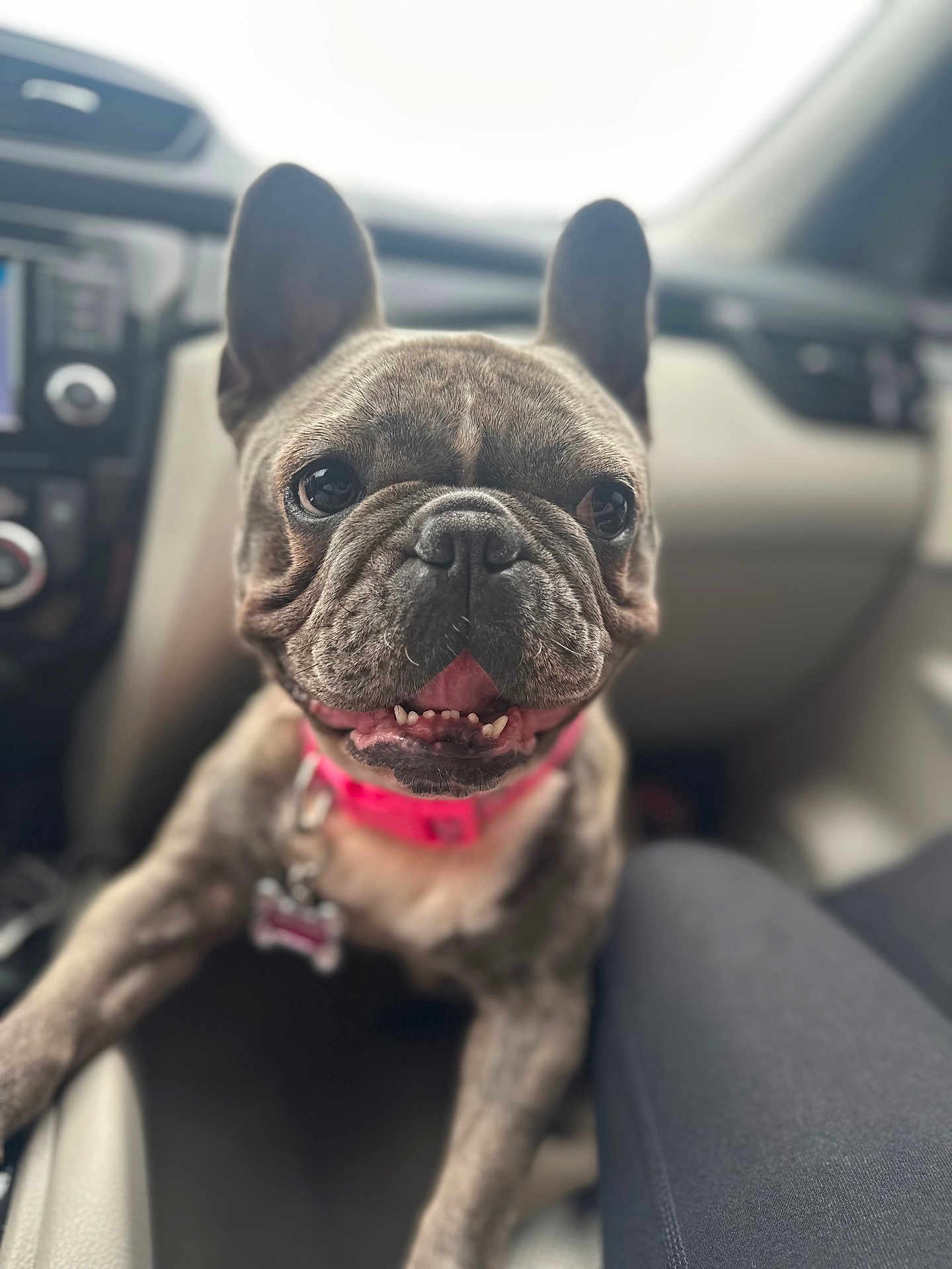 Zaza