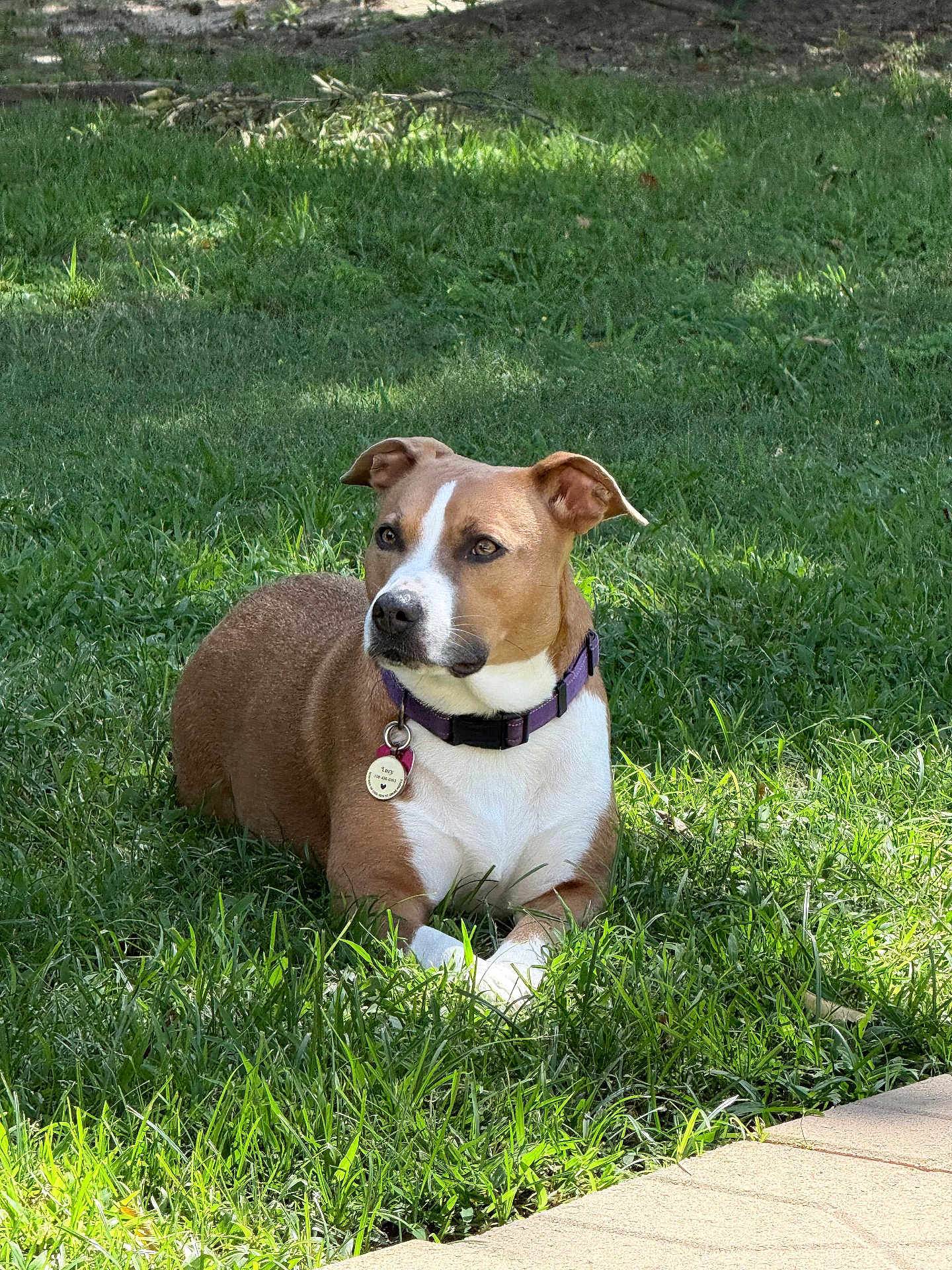 Lucy