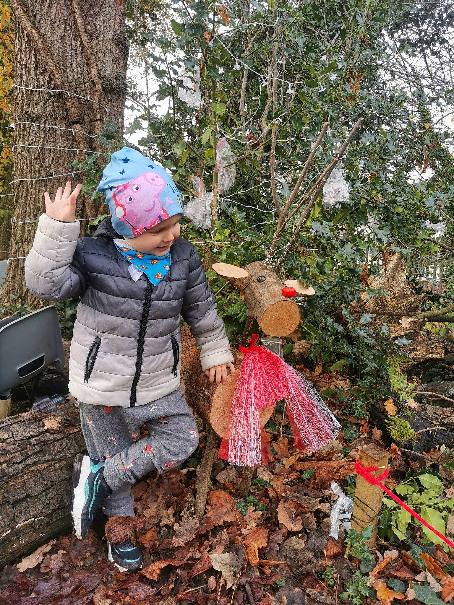 Alan joined the competition — help win amazing prizes! backpack, botany, child, deciduous, forest, grass, headwear, jungle, lawn_ornament, leaf, people_in_nature, person, plant, recreation, soil, toddler, tree, trunk, walking, wood