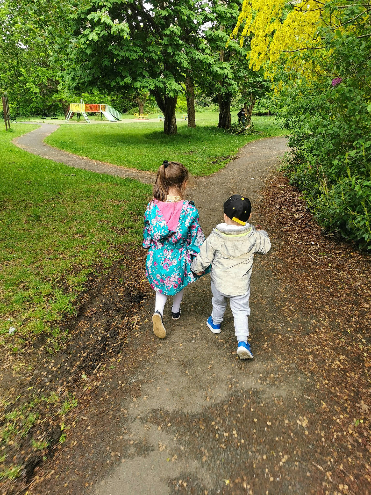 Alan joined the competition — help win amazing prizes! botany, deciduous, gesture, grass, grass_family, green, landscape, leaf, leisure, natural_landscape, people_in_nature, person, plant, recreation, shrub, sunlight, tints_and_shades, toddler, tree, woody_plant