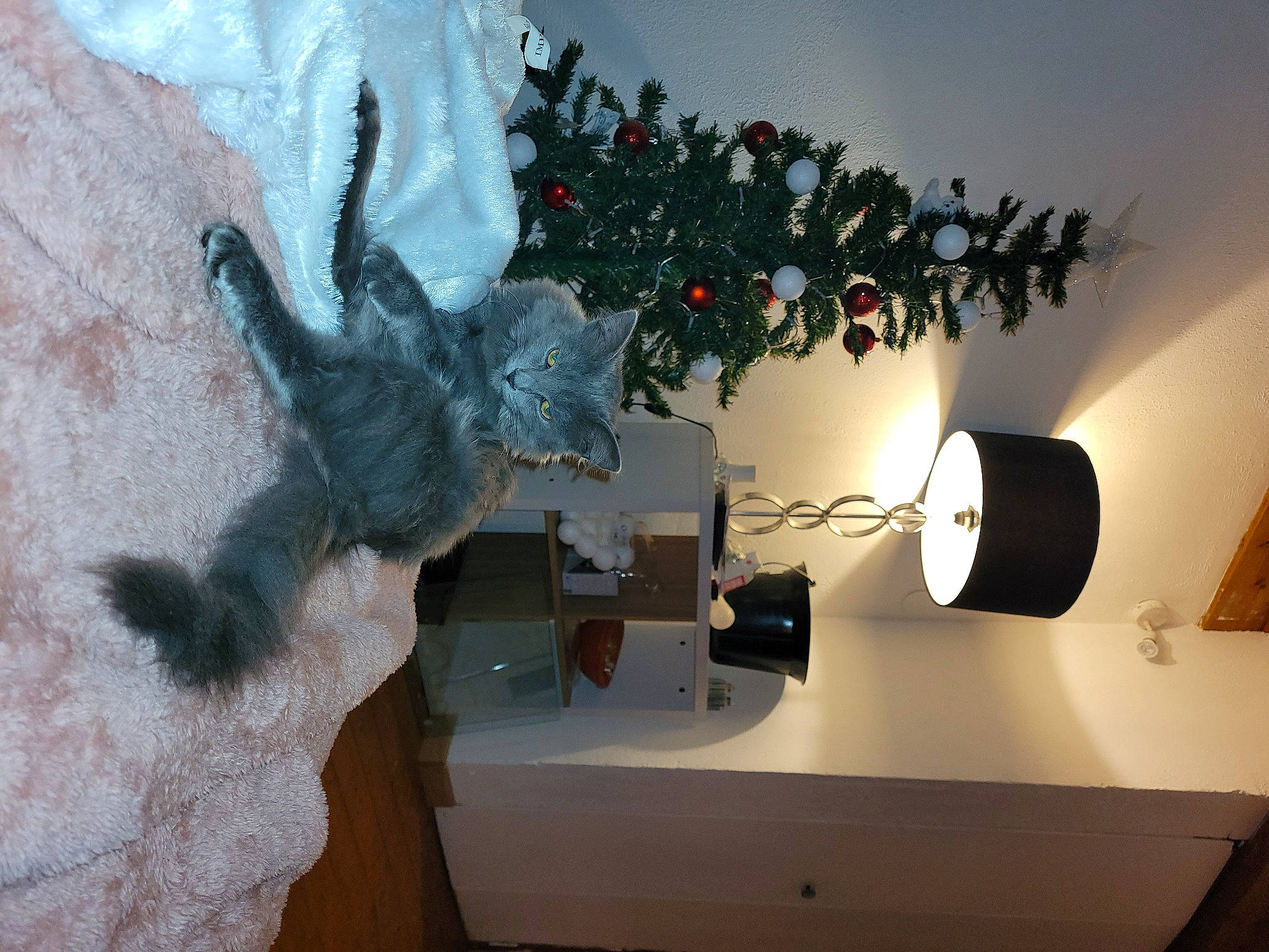 Boo a rejoint le concours — aidez-le/la à gagner de superbes lots ! art, carmine, christmas_decoration, christmas_ornament, event, flowerpot, houseplant, interior_design, lamp, living_room, ornament, plant, room, table, toy, tree, twig, vase, wall, wood