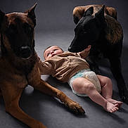 Mattéo participe au concours pour gagner de l'argent avec cette photo : baby, infant, child, diaper, dog, two_dogs, brown_dog, black_dog, pets, studio_backdrop, soft_lighting, portrait_photography, floor, paws, ears, protective, curious, laying_down, cute, bonding