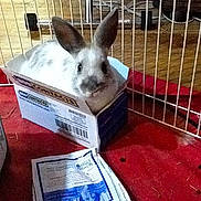 Fred is registered to the contest to win money with this photo: