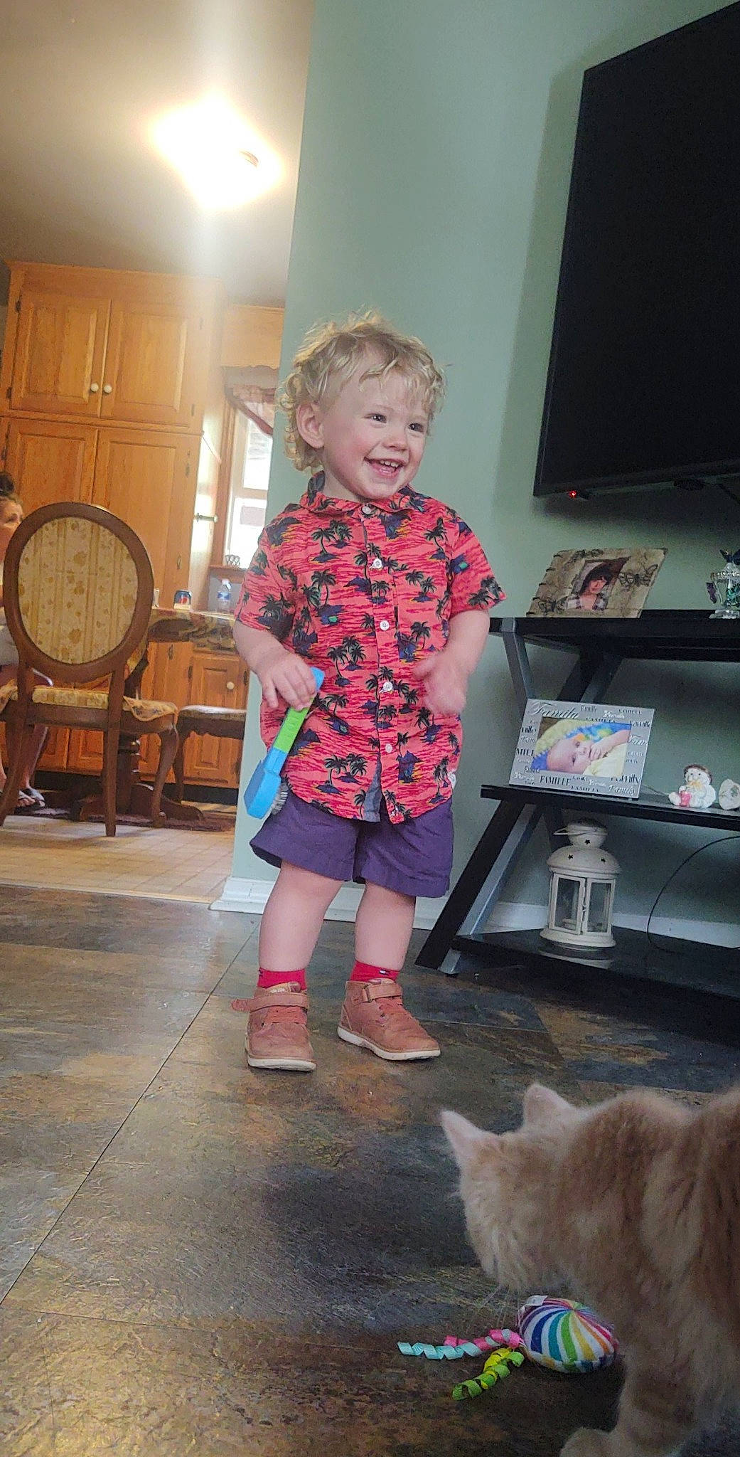 Derek joined the competition — help win amazing prizes! baby_toddler_clothing, cat, companion_dog, event, floor, flooring, fun, human_leg, joint, joy, leg, person, photograph, pink, room, shoulder, smile, snapshot, standing, television