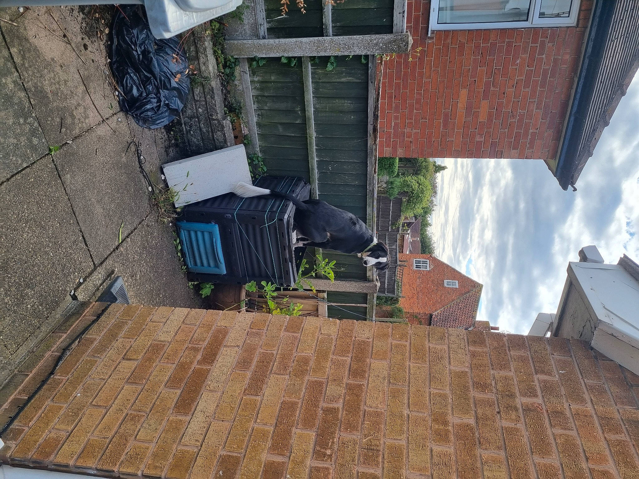 Loki is registered to the contest to win money with this photo: apartment, brick, brickwork, building, cloud, composite_material, concrete, facade, flooring, hardwood, home, house, residential_area, road_surface, roof, room, siding, urban_design, window, wood