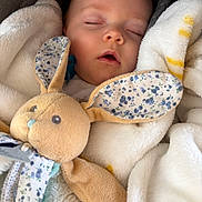 Nino participe au concours pour gagner de l'argent avec cette photo : baby, sleeping, blanket, plush_toy, bunny, soft_texture, face, closed_eyes, comfort, cozy, infant, child, cute, resting, peaceful, cuddle, fabric, toy, warm, nap