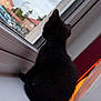 cat, black_cat, windowsill, window, suburban, house, roof, curtain, lamp, indoor, animal, pet, feline, fur, quiet, gazing, cloudy, daytime, cozy, home