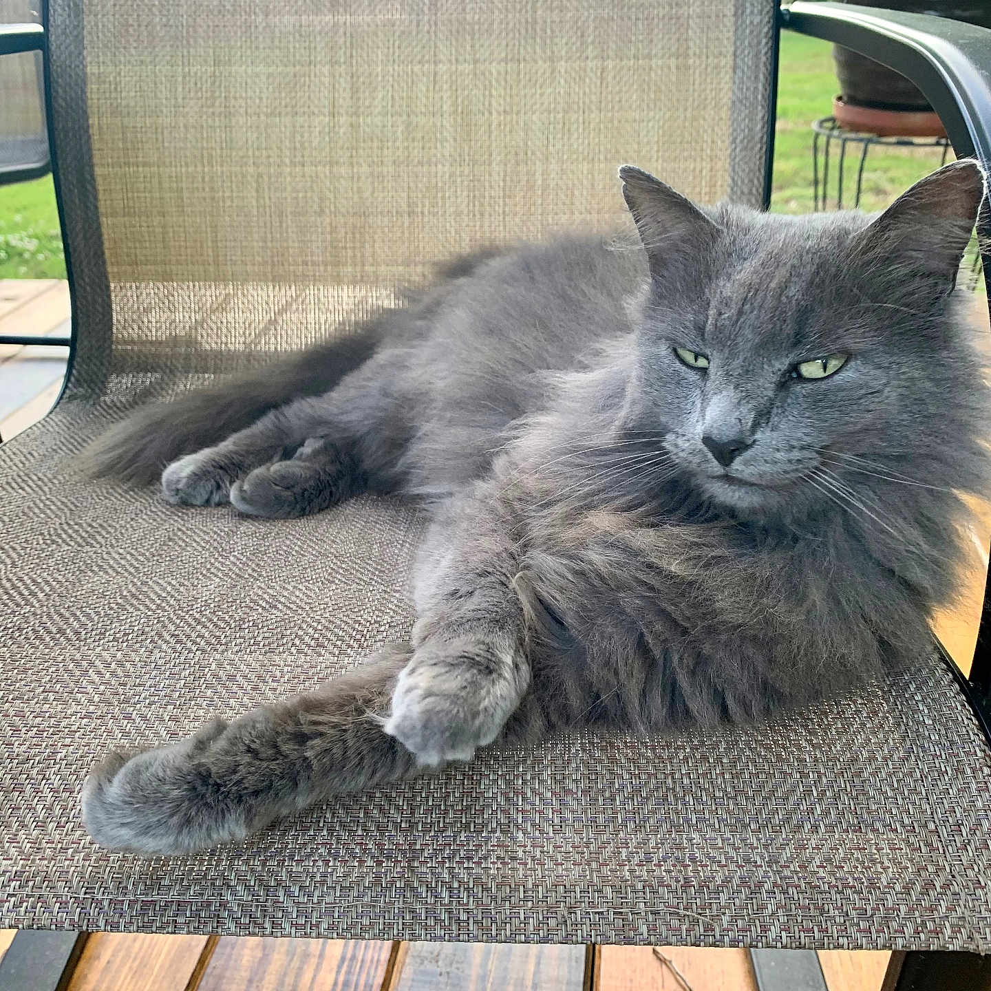 Smokey