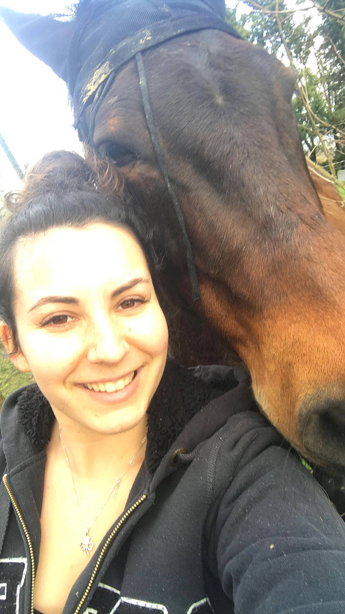Hercule participe au concours pour gagner de l'argent avec cette photo : bridle, eye, face, fun, girl, head, horse, horse_like_mammal, horse_supplies, joy, livestock, mammal, mane, pack_animal, person, selfie, smile, snout
