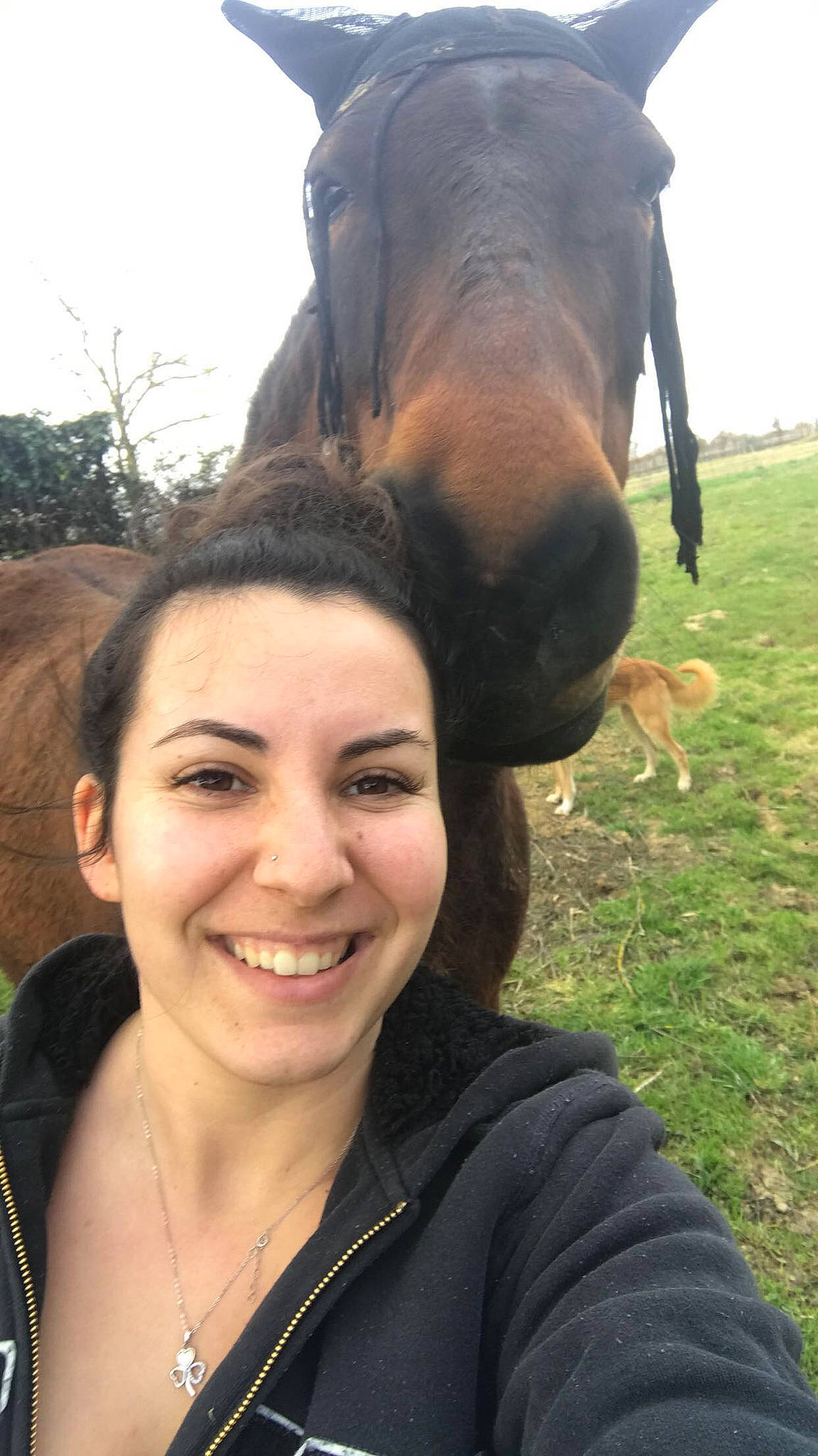Hercule participe au concours pour gagner de l'argent avec cette photo : ear, girl, grass, hairstyle, head, joy, mammal, person, selfie, smile, snout