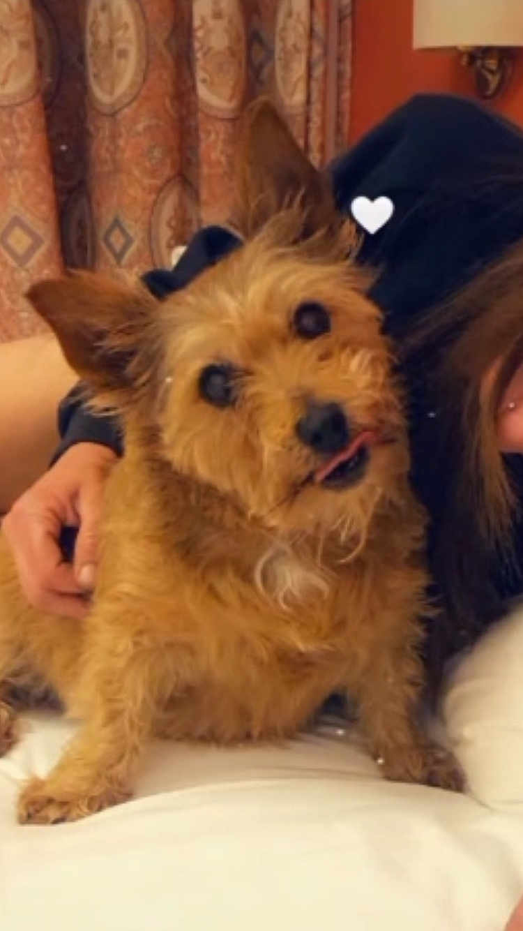Bella