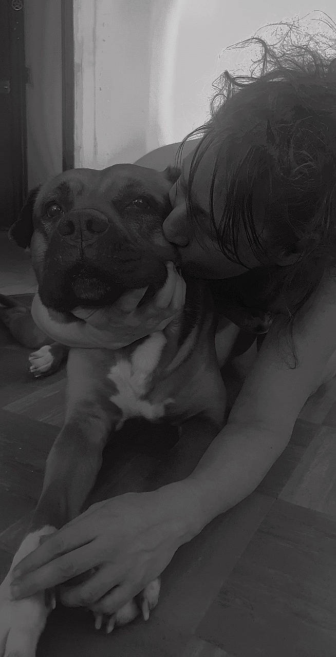 Djack a rejoint le concours — aidez-le/la à gagner de superbes lots ! black_and_white, carnivore, chest, comfort, companion_dog, dog, dog_breed, elbow, fawn, flooring, gesture, grey, human_leg, monochrome, monochrome_photography, snout, sporting_group, style, whiskers, working_animal