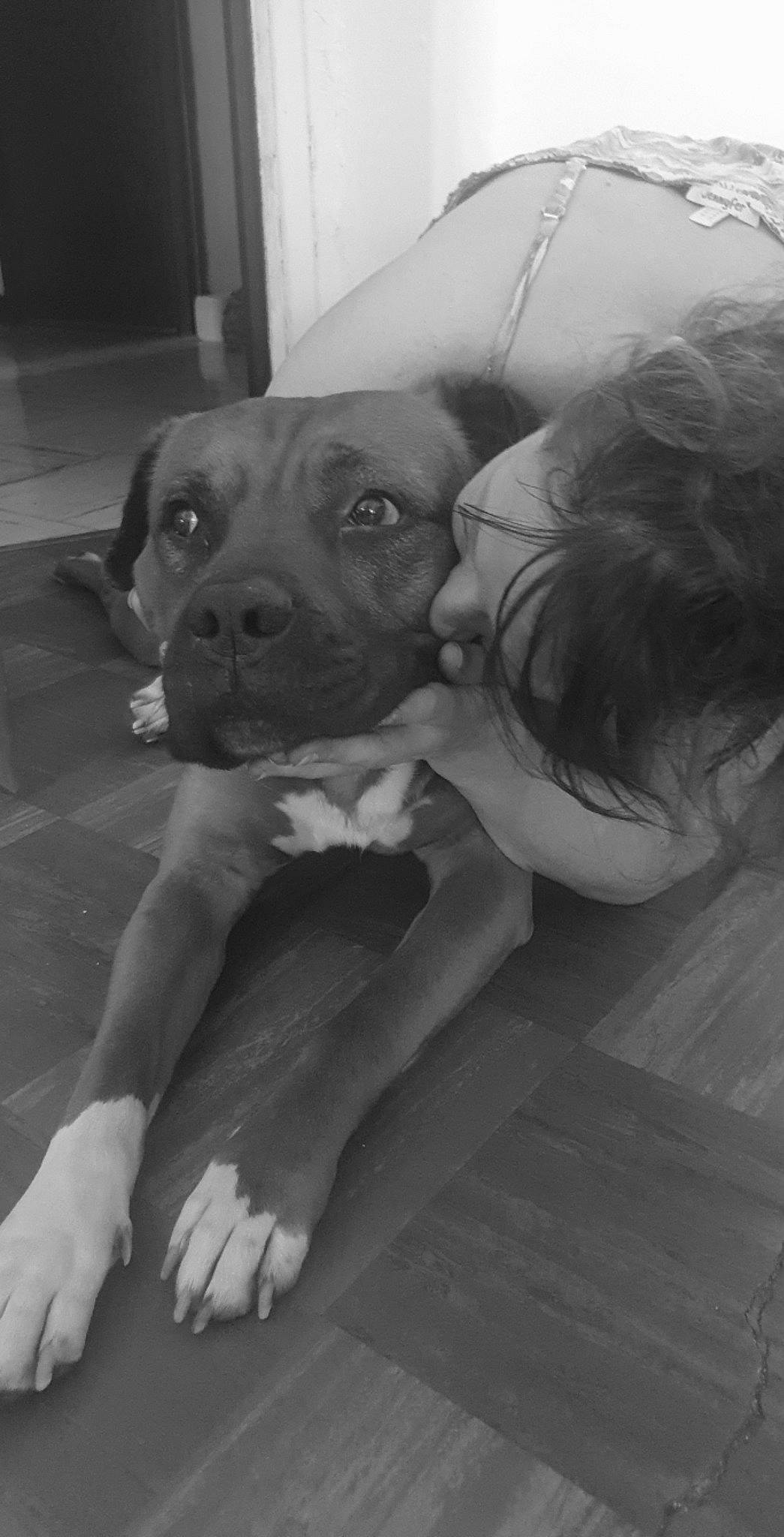 Djack participe au concours pour gagner de l'argent avec cette photo : black, black_and_white, carnivore, comfort, companion_dog, dog, dog_breed, fawn, floor, flooring, gesture, grey, monochrome, monochrome_photography, snout, style, toy_dog, trunk, whiskers, working_animal