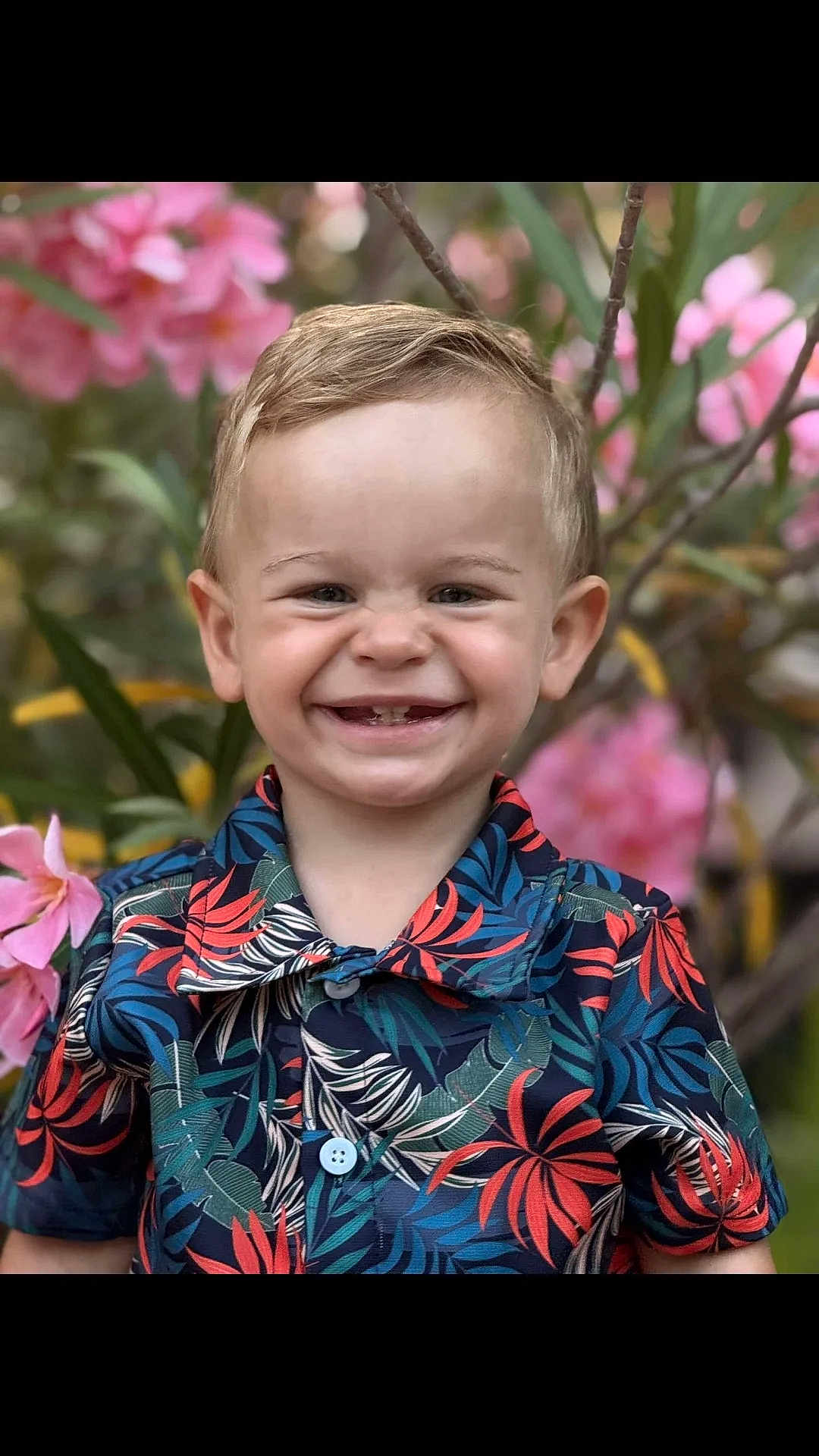 Eiden a rejoint le concours — aidez-le/la à gagner de superbes lots ! child, toddler, smile, happy, portrait, flower, pink_flower, greenery, outdoor, nature, short_hair, colorful_clothing, buttoned_shirt, tropical_pattern, cute, young_child, face, person, summer, garden