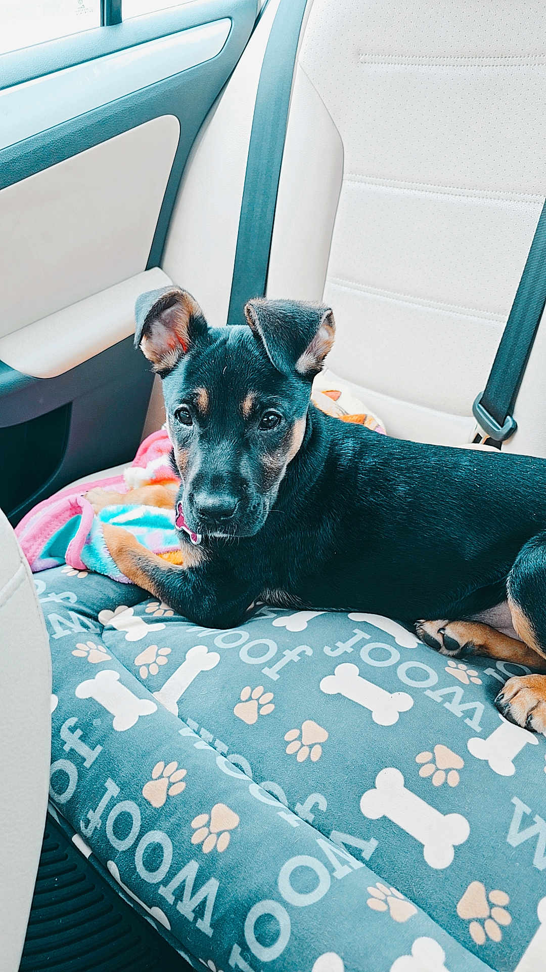 Nala Lynn